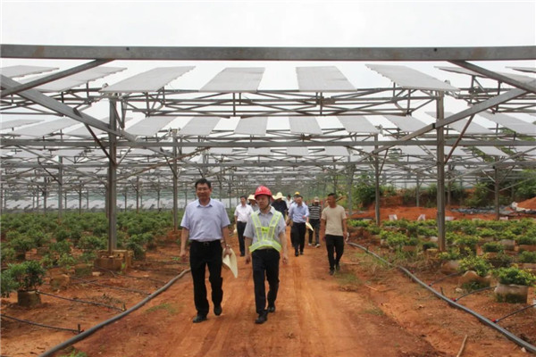 張小平赴景德鎮(zhèn)調(diào)研碳達峰碳中和工作