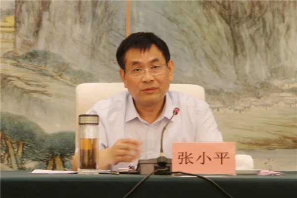 張小平赴景德鎮(zhèn)調(diào)研碳達峰碳中和工作