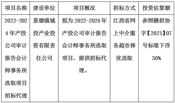 2022-2024年產投公司審計報告會計師事務所選取項目招標代理計劃公告